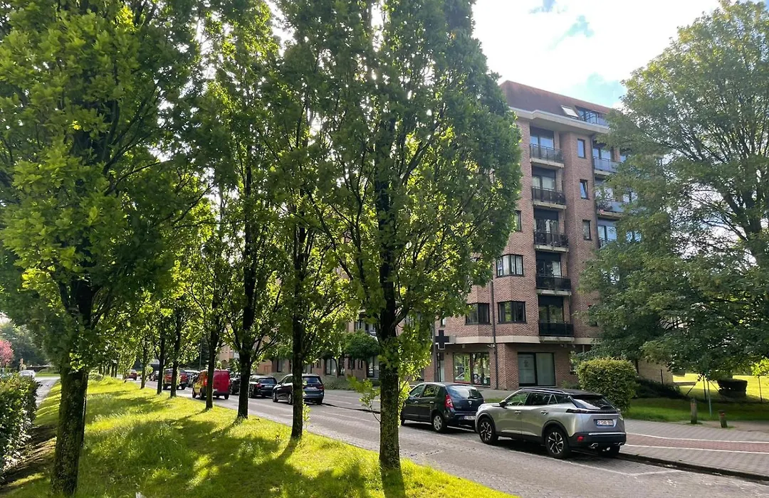 One Bedroom Fully Equipped Apartment With Terrace-1