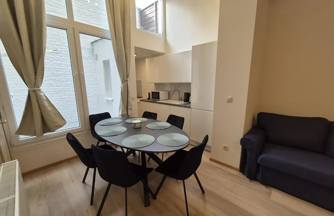 Tasson Snel Apartment Center Of Brussels-1