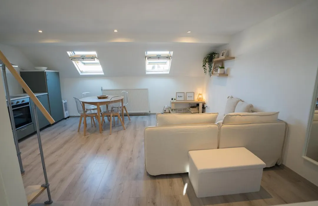 Cosy duplex in Brussels-1
