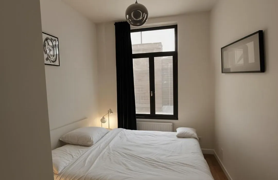 Appartement confortable 1 chambre au coeur de Bruxelles-1