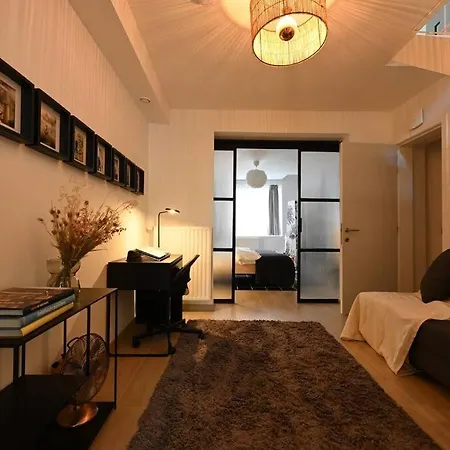 Superb 3 Bedroom & 3 Bathroom Duplex In Brussels City Centre-3