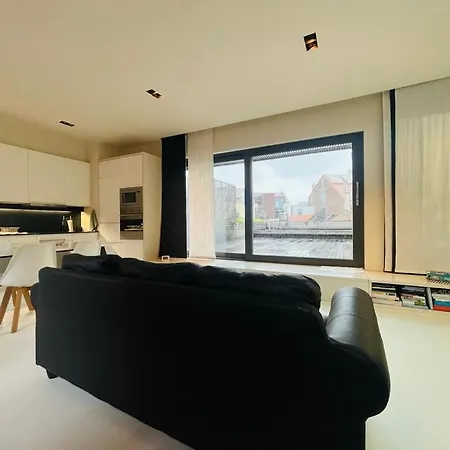 Down Town Penthouse With Private Parking-3
