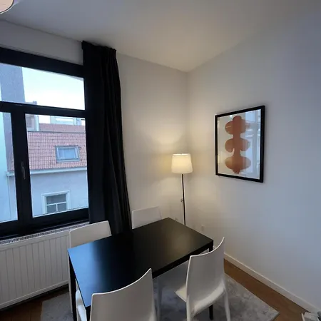 Appartement confortable 1 ch au coeur de Bruxelles-3