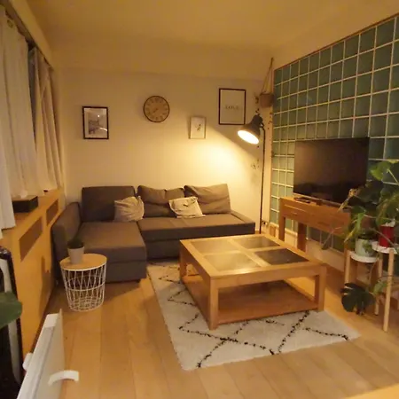 Brusselshomes-2