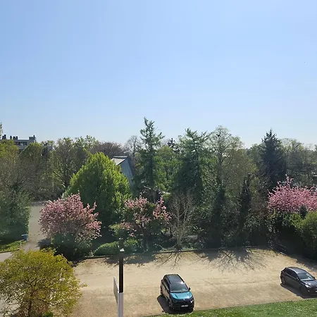 Modern Duplex With Garden-3