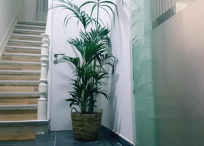 Cozy Rooms With Share The Bathroom And Kitchen Bruxelles