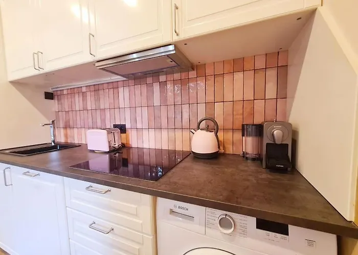 Magnolia Pink Studio New And Fully Equipped Bruxelles
