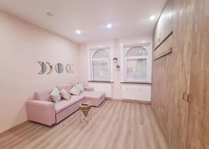 Magnolia Pink Studio New And Fully Equipped Bruxelles