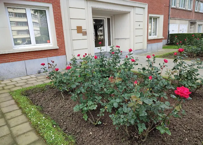 Charming Apartment In Etterbeek 70 M² With Balcony Bruxelles