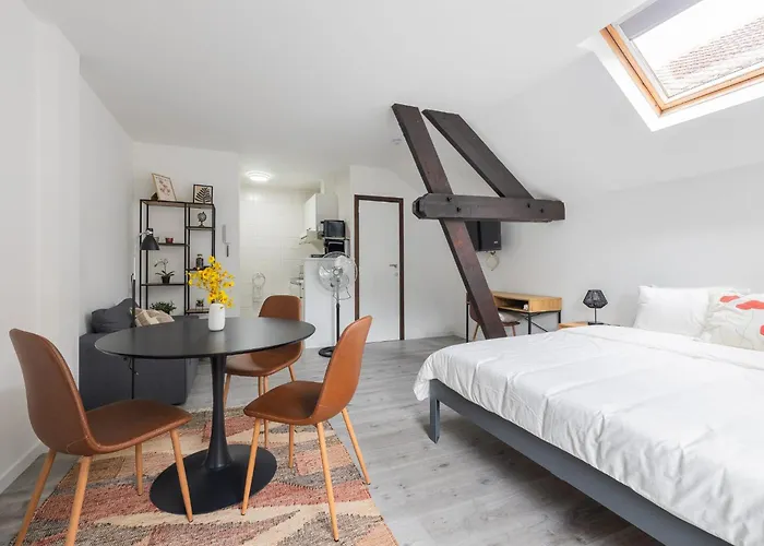 Cosy Place Brussels Expo 200