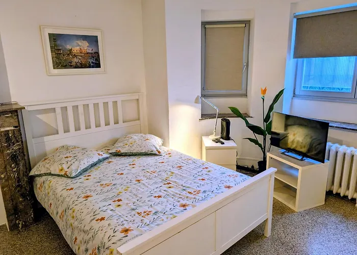 Central&convenient studio near supermarkets&public transports Bruxelles