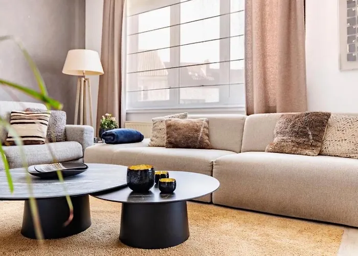 Appartement Le Charme Urbain Lumineux à Bruxelles